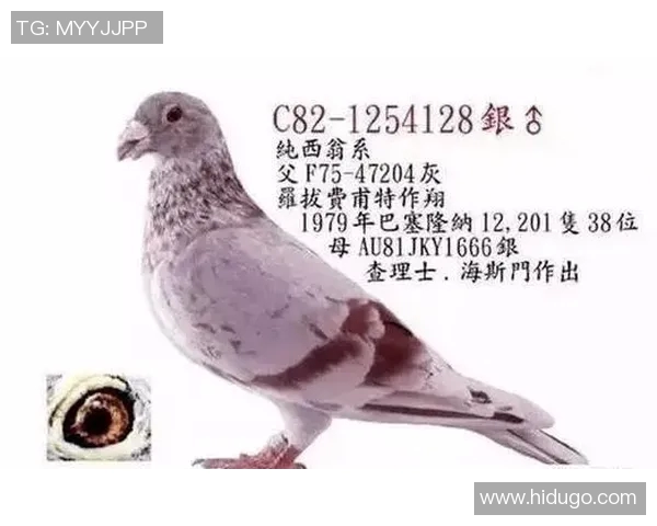 克利维亚足球明星的崛起与荣耀之路:从青训到国际赛场的传奇故事