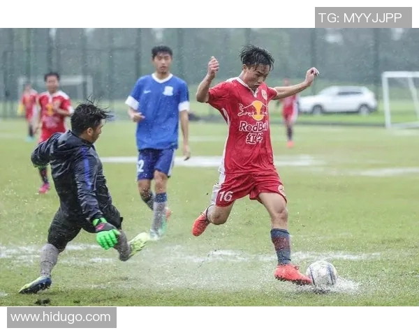 深圳足球队的拼搏历程与荣耀时刻全景纪实