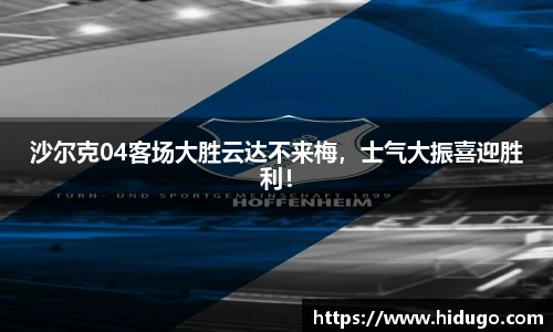 bsports官网入口