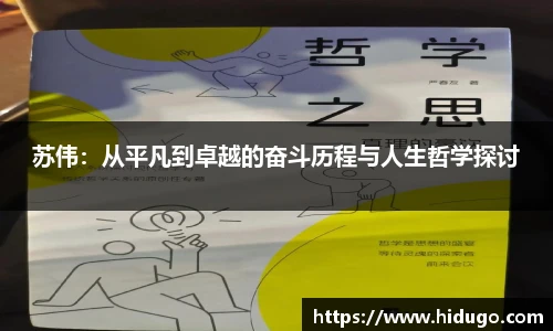 bsports官网入口