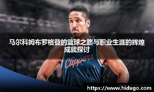 bsports官网入口