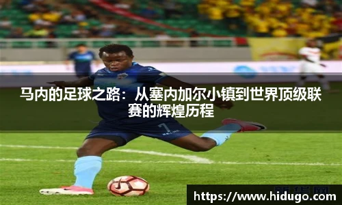 bsports官网