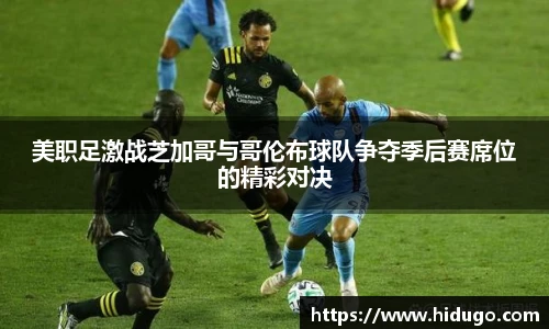 bsports登录入口