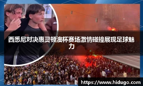 bsports登录入口